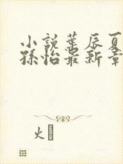 小说叶辰夏若雪孙怡最新章节免费阅读