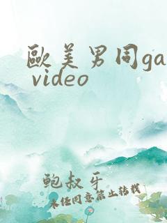 欧美男同gay video