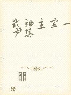 武神主宰一共多少集