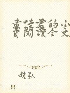 黄佳君的小说免费阅读全文