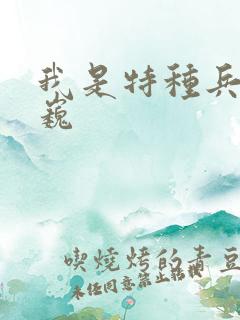 我是特种兵高世巍