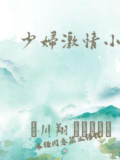 少妇激情小说网