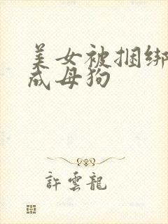 美女被捆绑调教成母狗