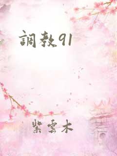 调教91