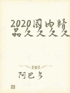 2020国内精品久久久久精免费