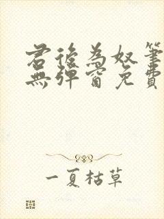 君后为奴笔趣阁无弹窗免费阅读