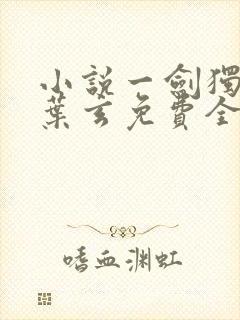 小说一剑独尊·叶玄免费全文阅读一