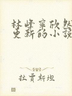 林峰宁欣然超前更新的小说1109