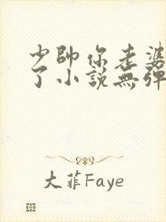 少帅你老婆又跑了小说无弹窗