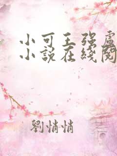 小可王强卢叔的小说在线阅读全文