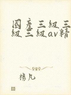 国产三级三级三级三级av精品