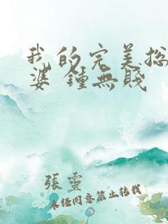 我的完美总裁老婆 钟无贱