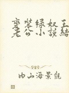 变装绿奴王八奴老公小说结局