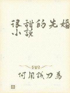 很甜的先婚后爱小说