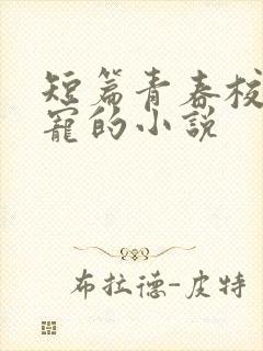 短篇青春校园甜宠的小说