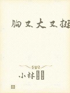 胸又大又挺小说