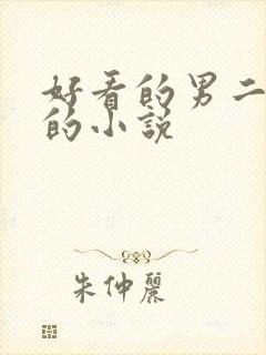 好看的男二上位的小说