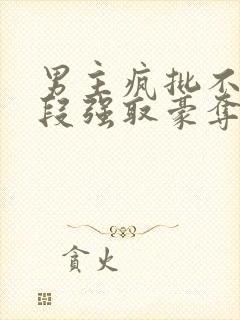 男主疯批不择手段强取豪夺现言