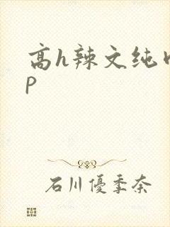 高h辣文纯肉np