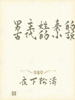 男主姓秦的穿越古代的小说