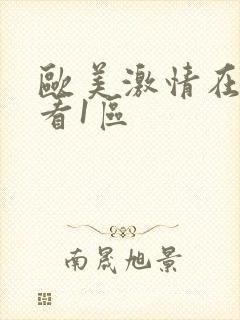 欧美激情在线观看1区