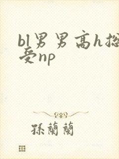 bl男男高h总受np