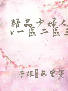 精品少妇人妻av一区二区三区