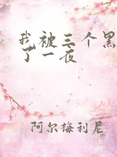 我被三个黑人操了一夜