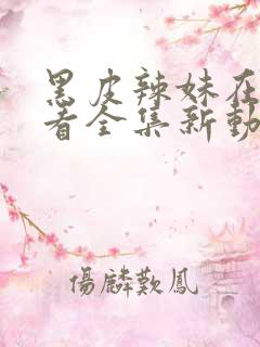 黑皮辣妹在线观看全集新动漫免费