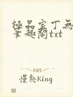 极品家丁无删节笔趣阁txt