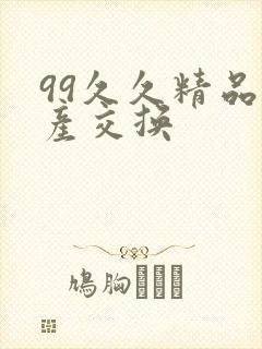 99久久精品国产交换