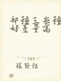 哪种玉米种子最好产量高