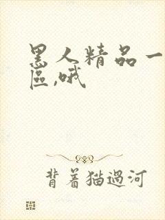 黑人精品一区二区,哦