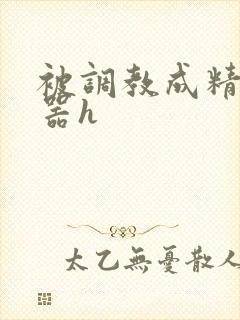 被调教成精壶便器h