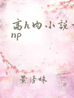 高h肉小说古言np