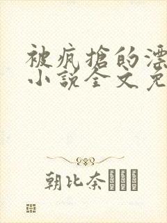 被疯抢的漂亮攻小说全文免费阅读无弹窗