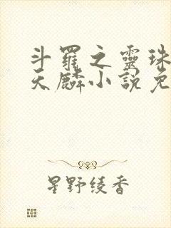 斗罗之灵珠神剑天麟小说免费阅读全文无窗口