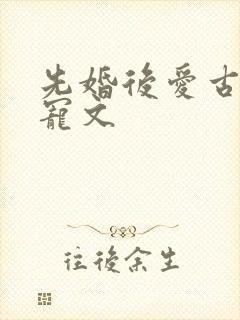 先婚后爱古言甜宠文