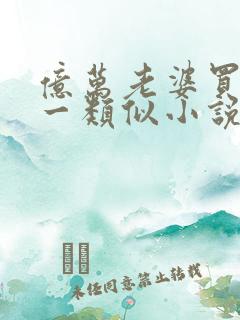 亿万老婆买一送一类似小说