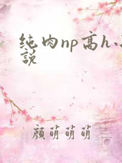 纯肉np高h小说