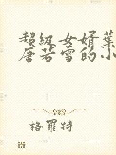 超级女婿叶凡和唐若雪的小说