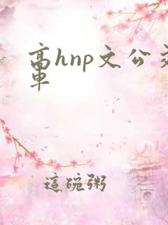 高hnp文公交车