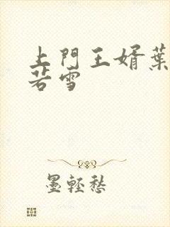 上门王婿叶凡唐若雪