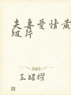 夫妻爱情黄色一级片