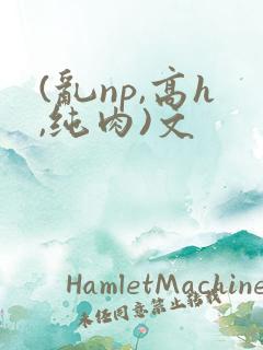 (乱np,高h,纯肉)文