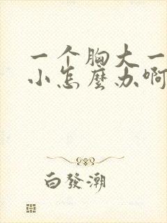 一个胸大一个胸小怎么办啊