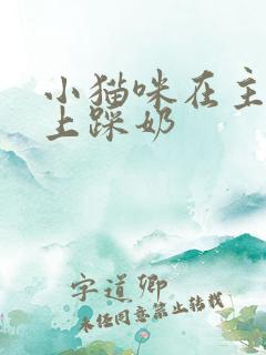 小猫咪在主人身上踩奶