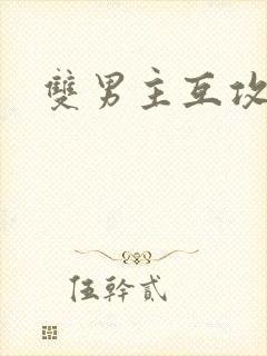 双男主互攻小说