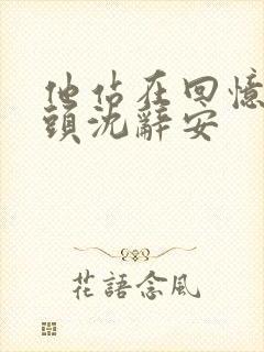 他站在回忆的尽头沈辞安