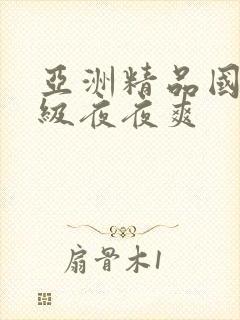 亚洲精品国产一级夜夜爽